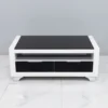 Bàn trà chữ nhật Adora TL16